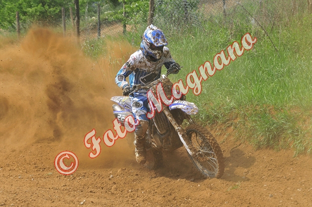 DSC_4649.jpg